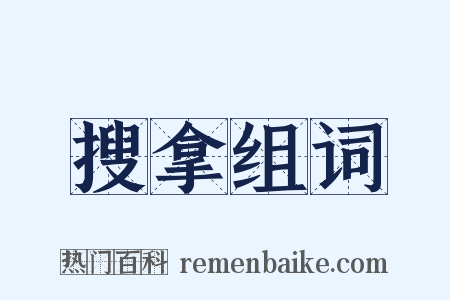 搜拿组词是什么意思的图片